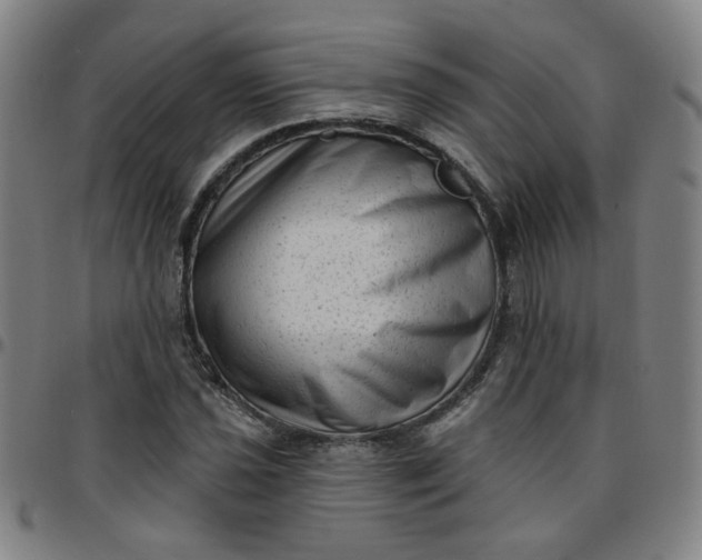 X0000097491021200803071734