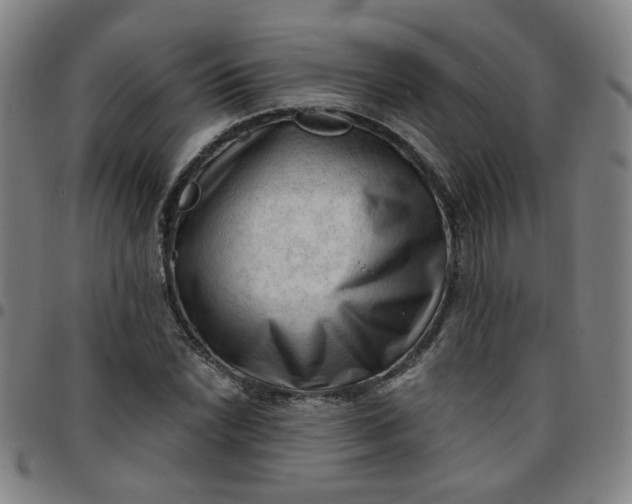 X0000097491022200803071734