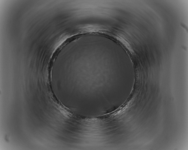 X0000097491023200803071734