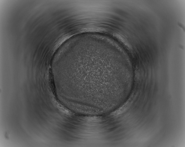 X0000097491025200803071734