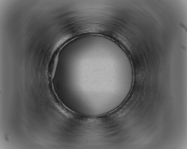 X0000097491026200803071734