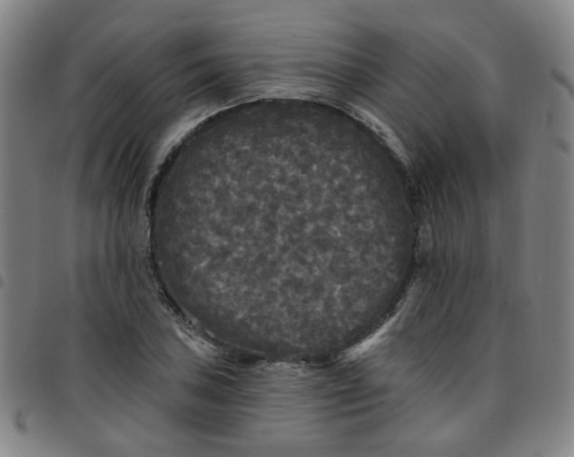 X0000097491027200803071734