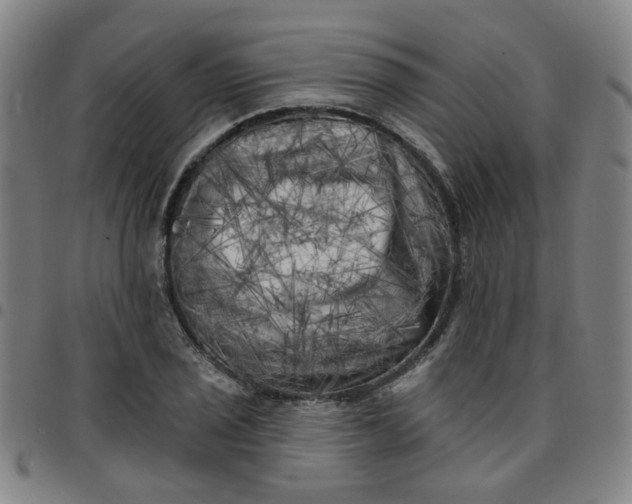 X0000097491029200803071734