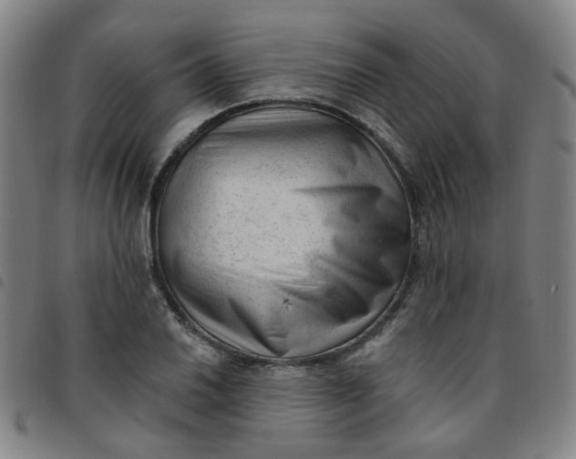 X0000097491030200803071734