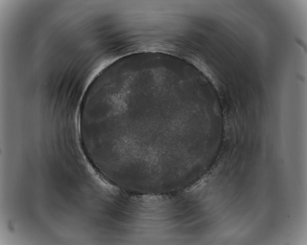 X0000097491032200803071734