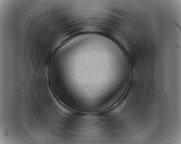 X0000097491033200803071734