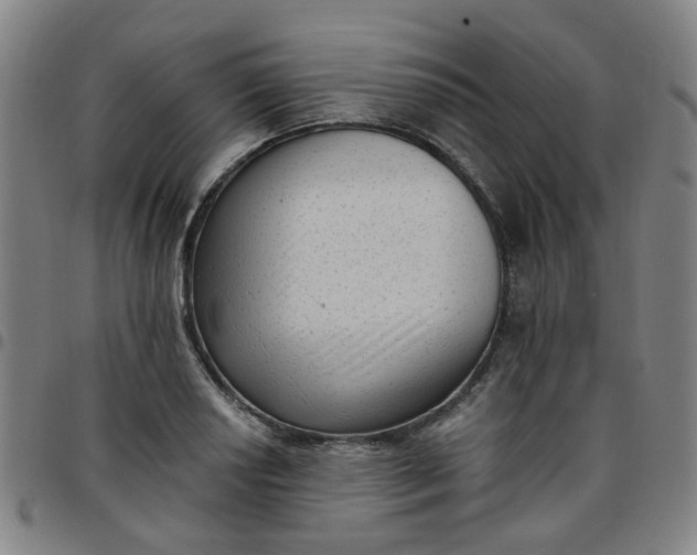 X0000097491034200803071734