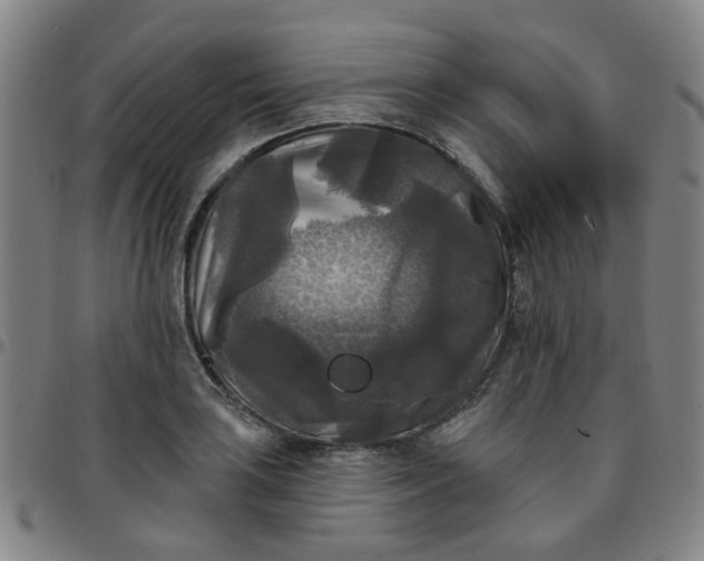 X0000097491035200803071734