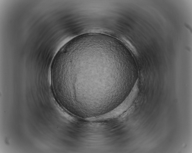 X0000097491036200803071734