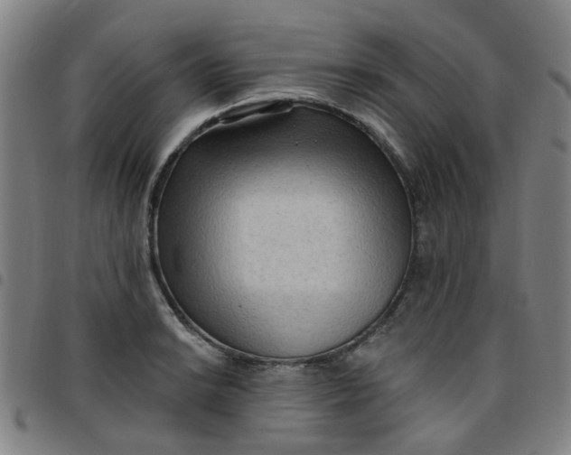 X0000097491038200803071734