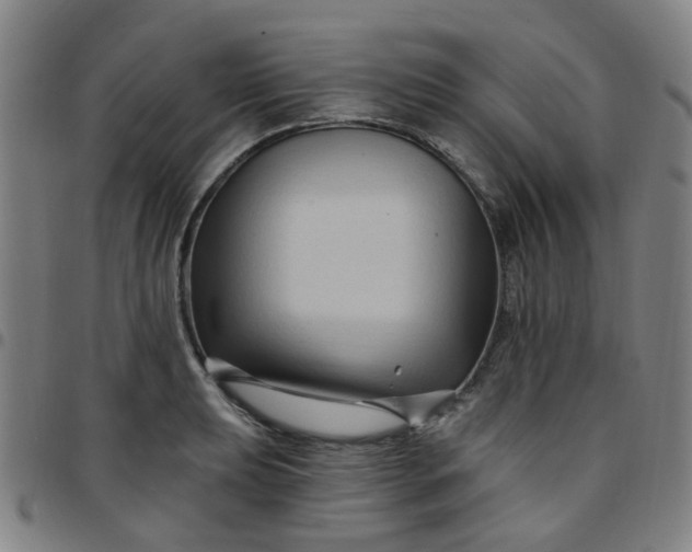 X0000097491039200803071734