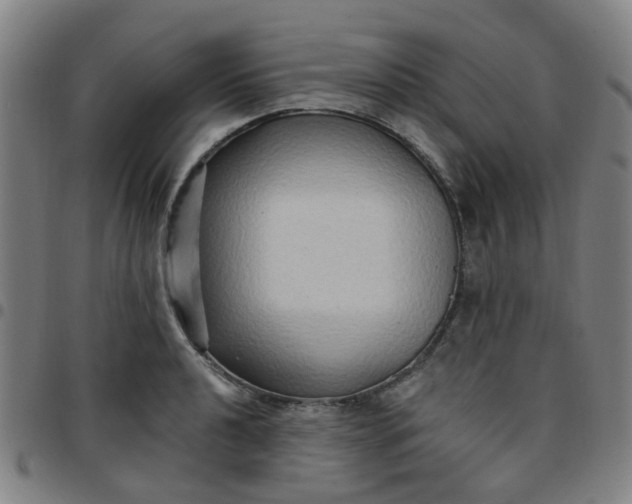 X0000097491040200803071734