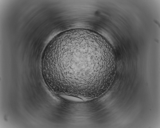 X0000097491043200803071734