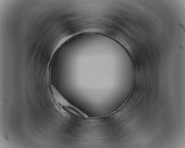 X0000097491044200803071734