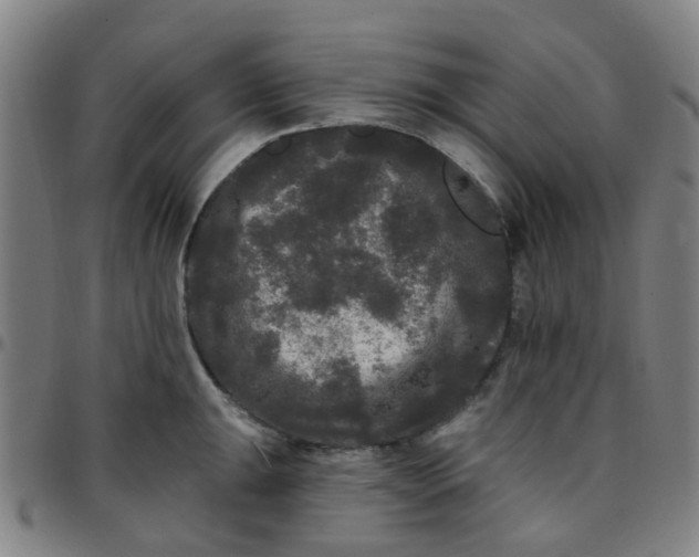 X0000097491047200803071735