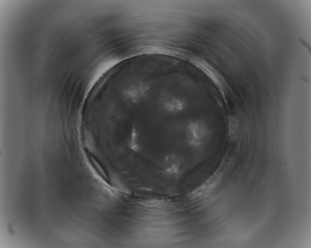 X0000097491048200803071735