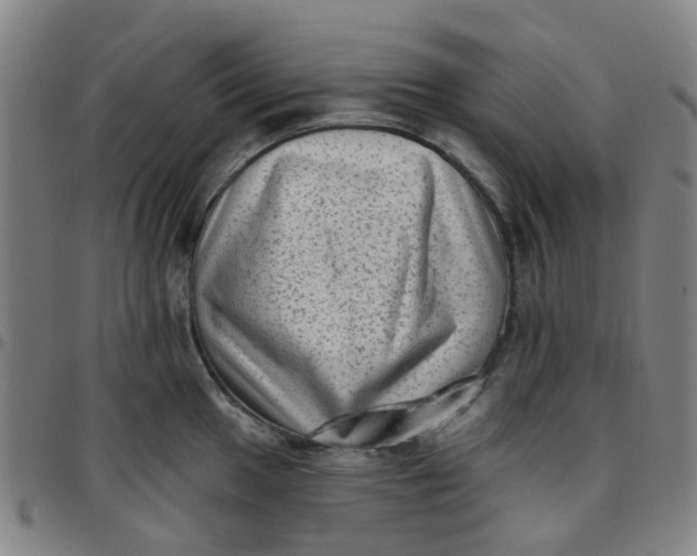 X0000097491049200803071735