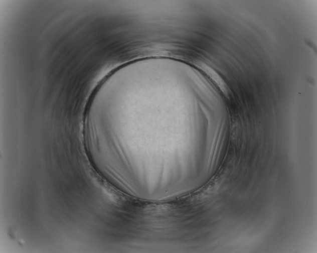 X0000097491051200803071735