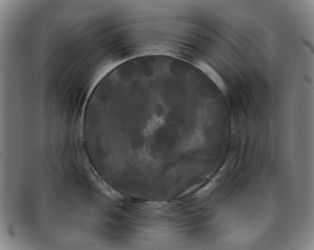 X0000097491052200803071735