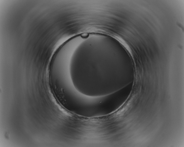 X0000097491053200803071735