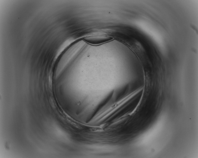 X0000097491054200803071735