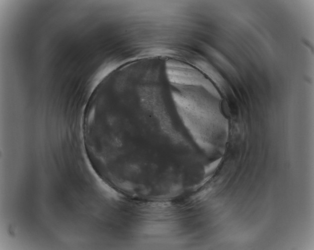 X0000097491055200803071735