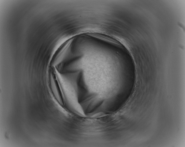 X0000097491056200803071735