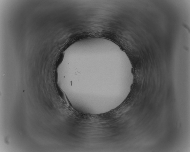 X0000097491057200803071734