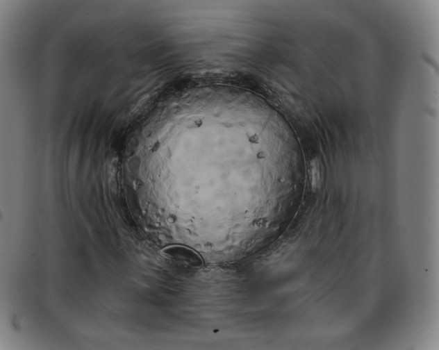 X0000097491059200803071734