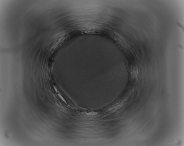 X0000097491060200803071734