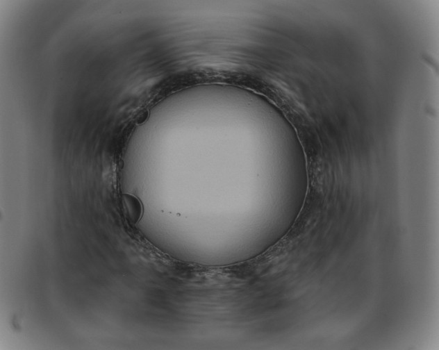 X0000097491061200803071734