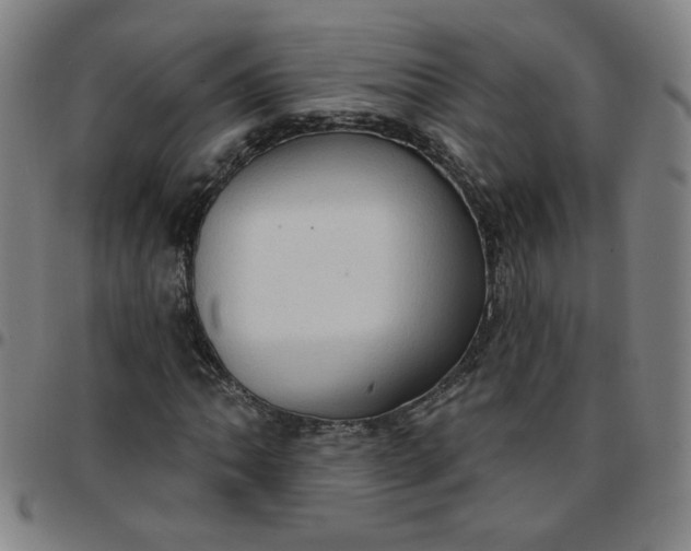 X0000097491062200803071734