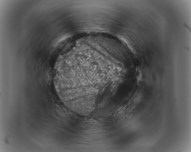 X0000097491063200803071734