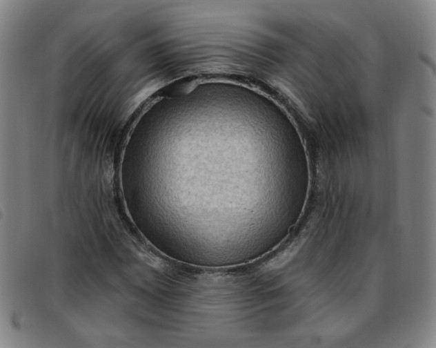 X0000097491065200803071734