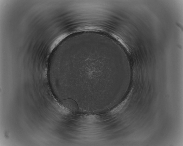 X0000097491066200803071734