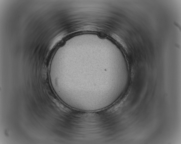 X0000097491067200803071734