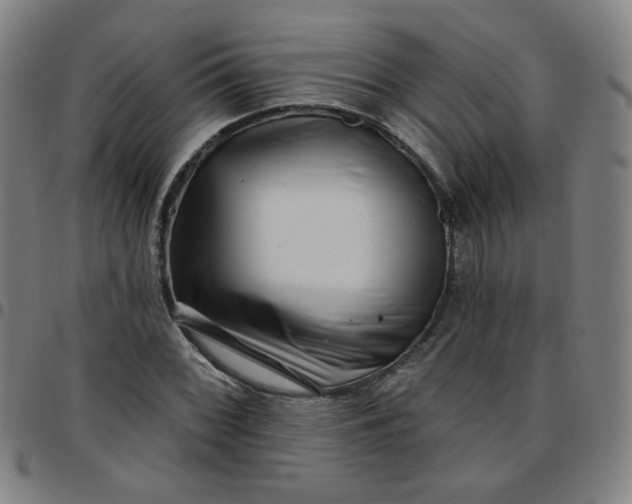 X0000097491068200803071734