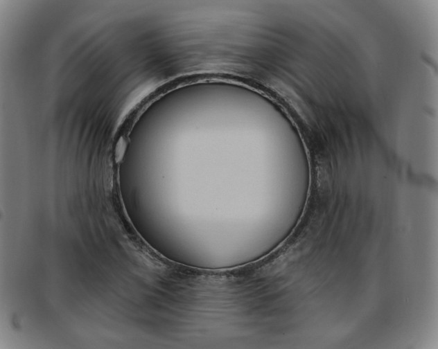 X0000097491069200803071734