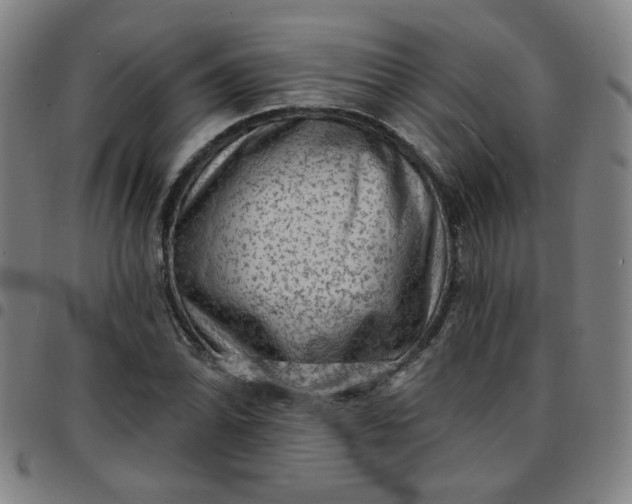 X0000097491070200803071734