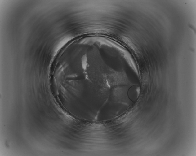 X0000097491071200803071734