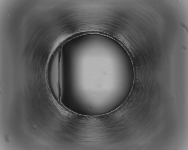 X0000097491072200803071734