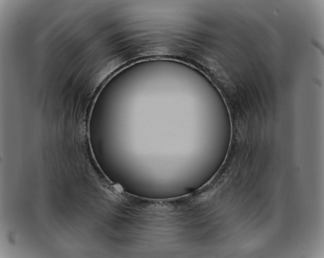 X0000097491073200803071734