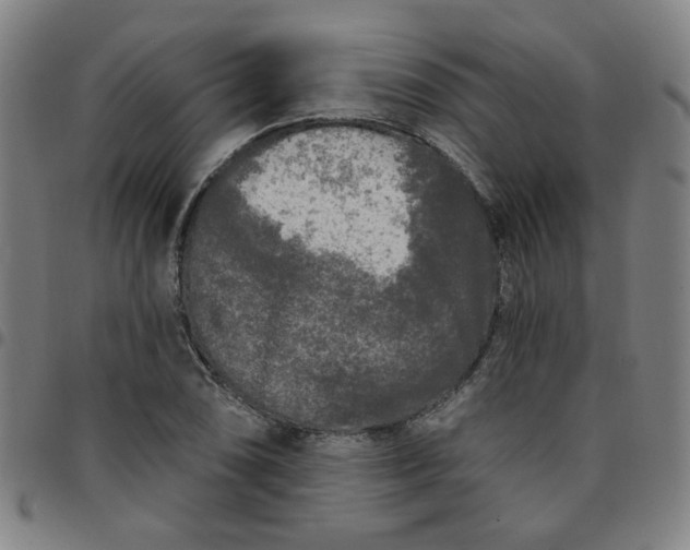 X0000097491074200803071734