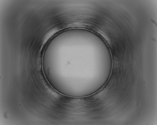 X0000097491075200803071734