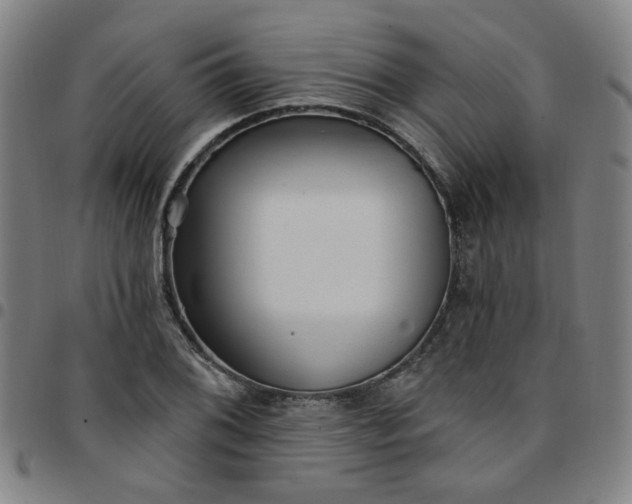 X0000097491076200803071734