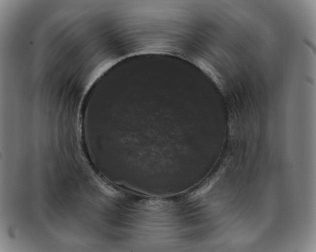 X0000097491077200803071734