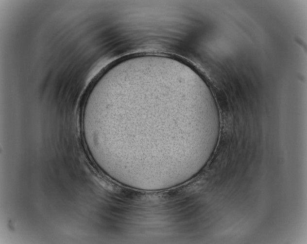 X0000097491078200803071734