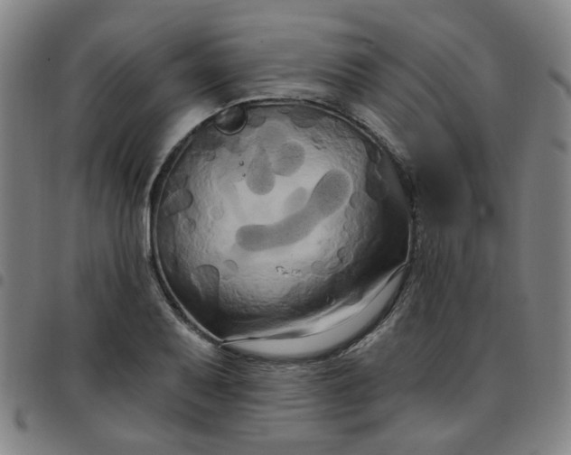 X0000097491079200803071734