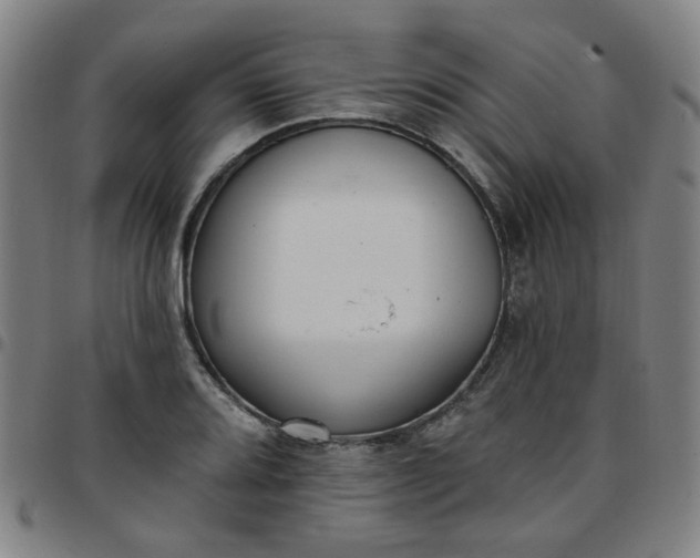 X0000097491080200803071734