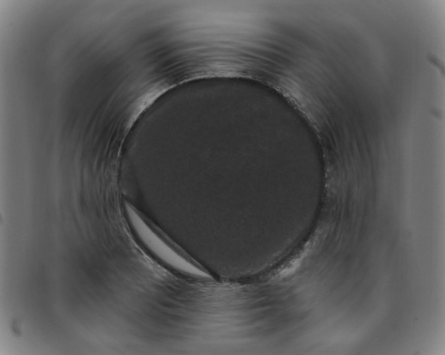 X0000097491081200803071734